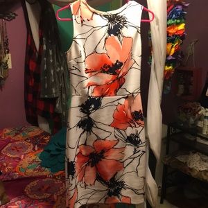 NWOT Sleeveless Dress